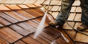 Roof Cleaning Service